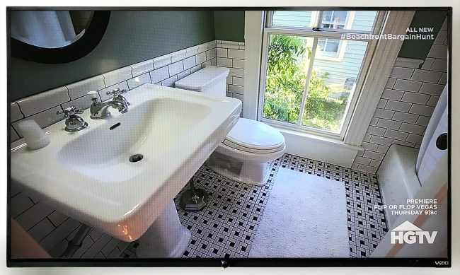 Beachfront Bargain Cape Charles Bathroom