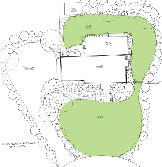 plano paisagístico desenhado por arquiteto paisagista