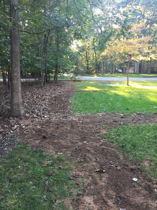 irrigation system install trenches filled in