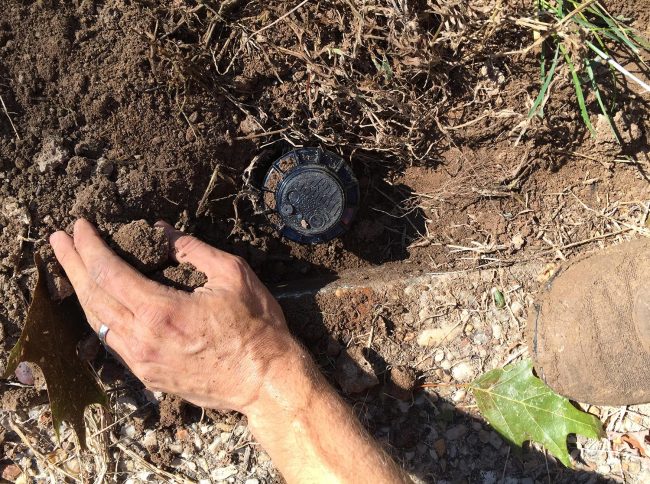 burying sprinkler head in ground for irrigation system