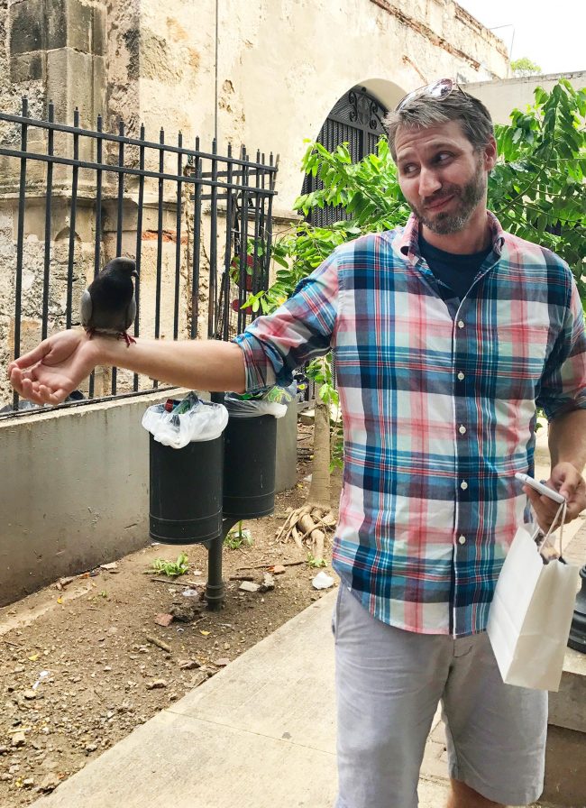 Porto Rico Old San Juan John Pigeon Smirk