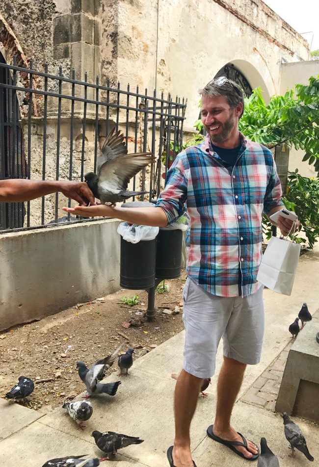 Porto Rico Old San Juan Pigeon Food