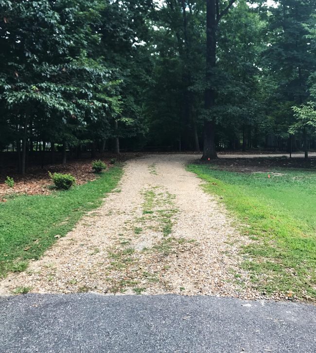 Ep62 Driveway Before Weeds