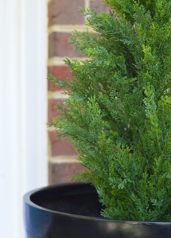 Fake Plant Evergreen Porch Planting Detail