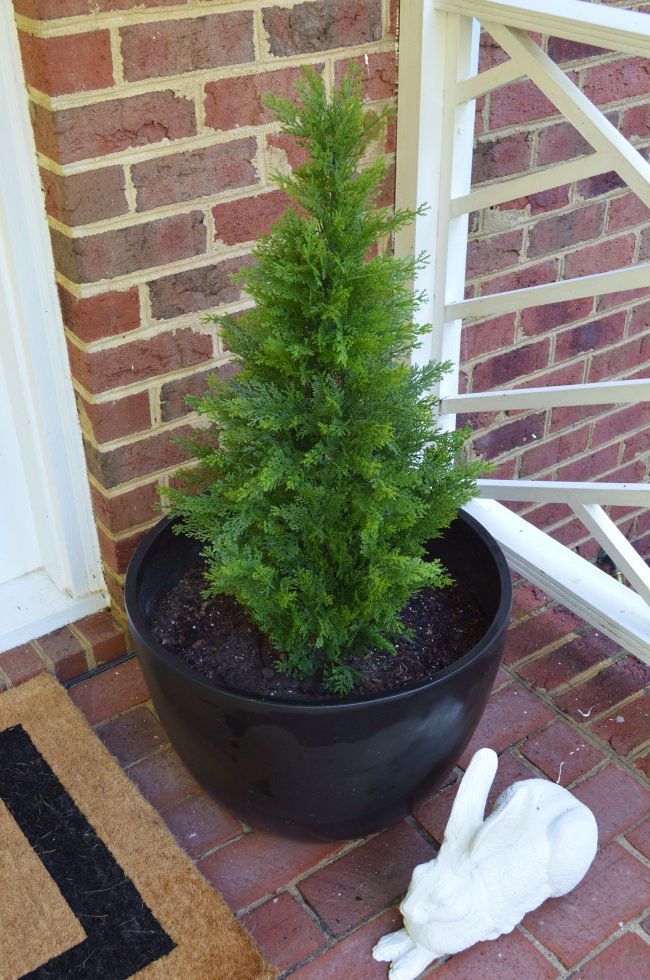 Front Porch Fake Plant Evergreen Overhead (Planta falsa para varanda frontal)