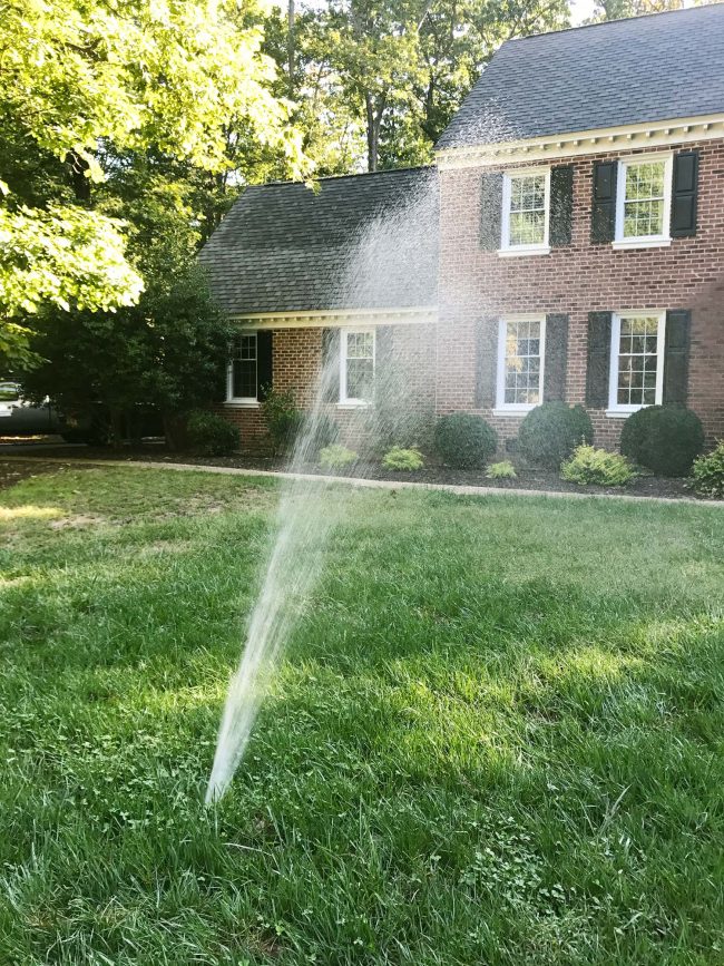 Ep68 Geyser In Yard Irrigation