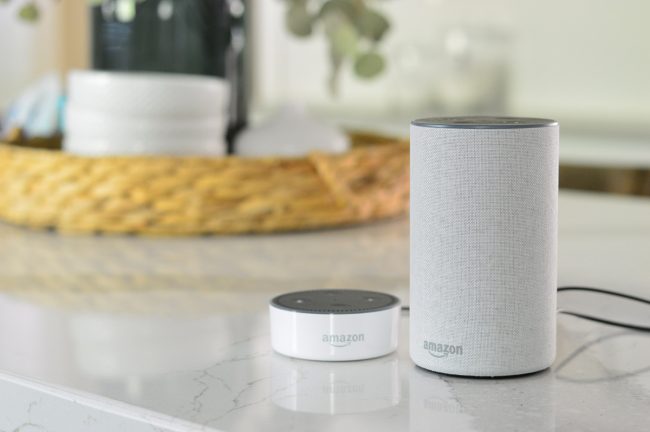Smart Home Devices Amazon Echos