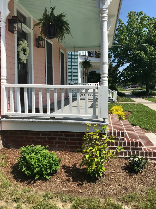 Beach House Landscaping Bushes Coming Back