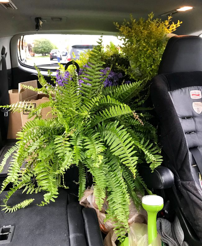 Beach House Landscaping In Car