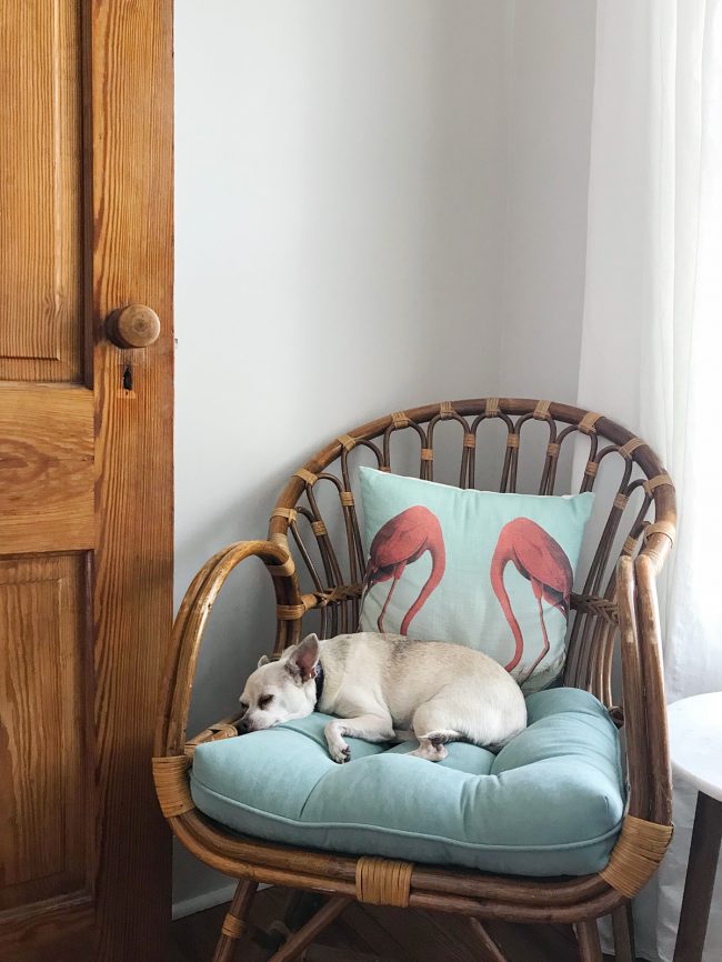 Beach House Office Burger Sleeping In Chair