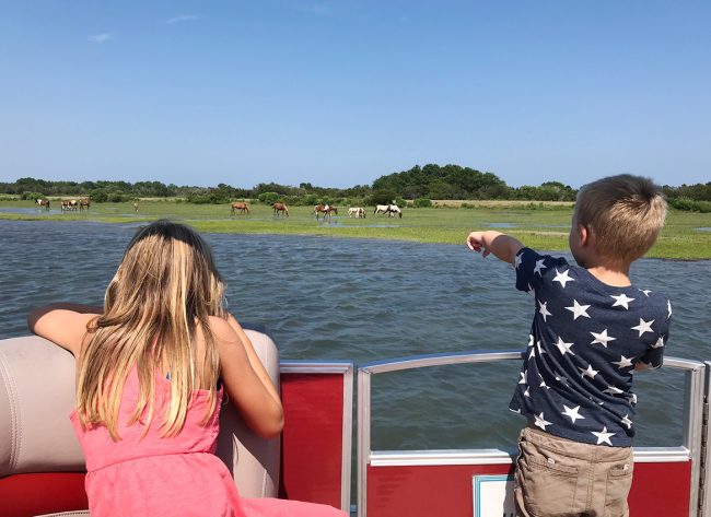 chincoteague wild ponies seen from boat with children