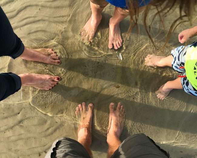 family feet in the shallow chesapeake bay water in cape charles