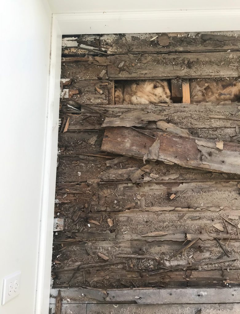 Duplex Floor During Rot In Kids Room Close