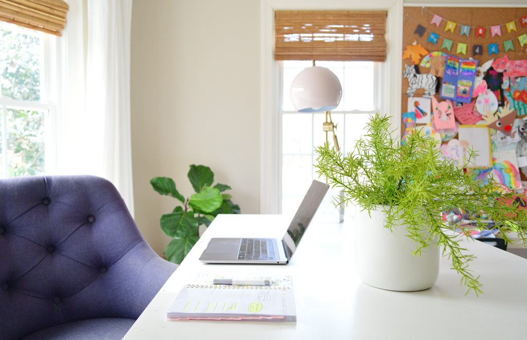 Faux plant on desk in home office