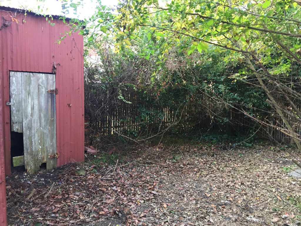 Wider View Of Before Of Beach House Backyard With Rusted Metal Shed