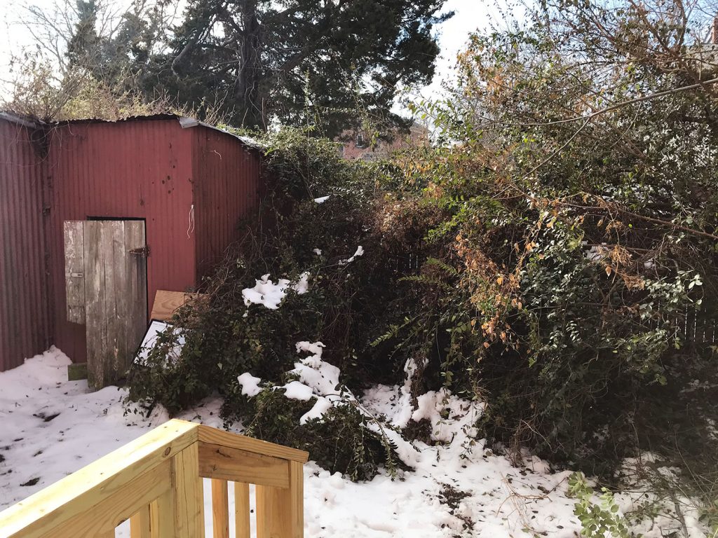 Beach House Backyard Before Snow