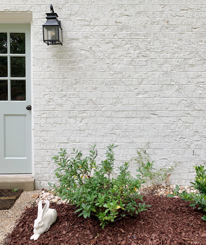 View Of Vine Trellis Disappearing Against Brick Wall