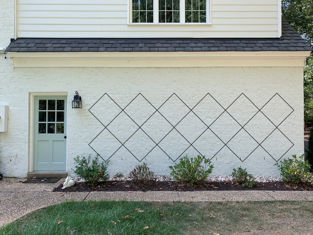 Photoshop rendering of trellis diamond pattern option 1