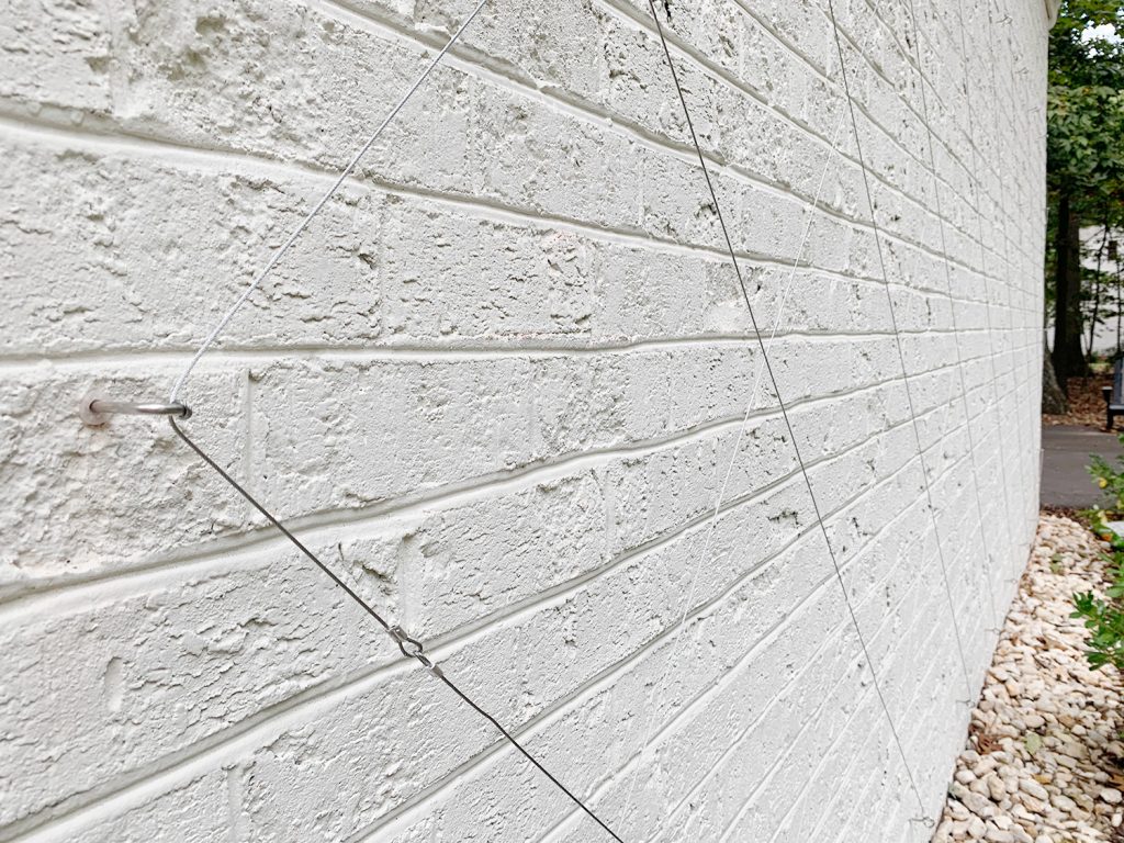 DIY Invisible Wire Trellis on a Brick Wall - Cotton Stem