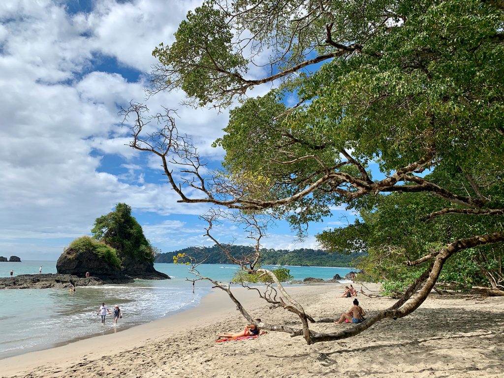 Tropical Beach In Manual Antonio National Park Costa Rica