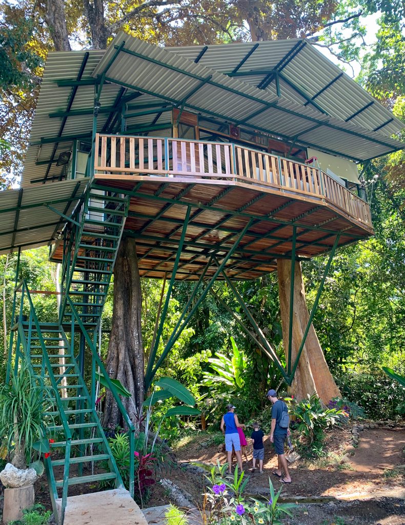 Costa Rica Vacation Royal Butterflies Treehouse Airbnb 790x1024