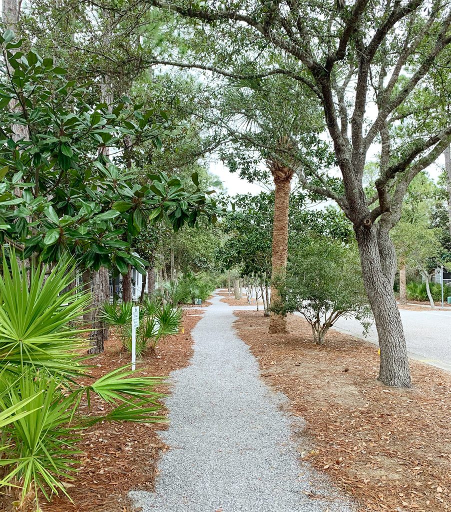 Ep163 Lush Florida Landscaping