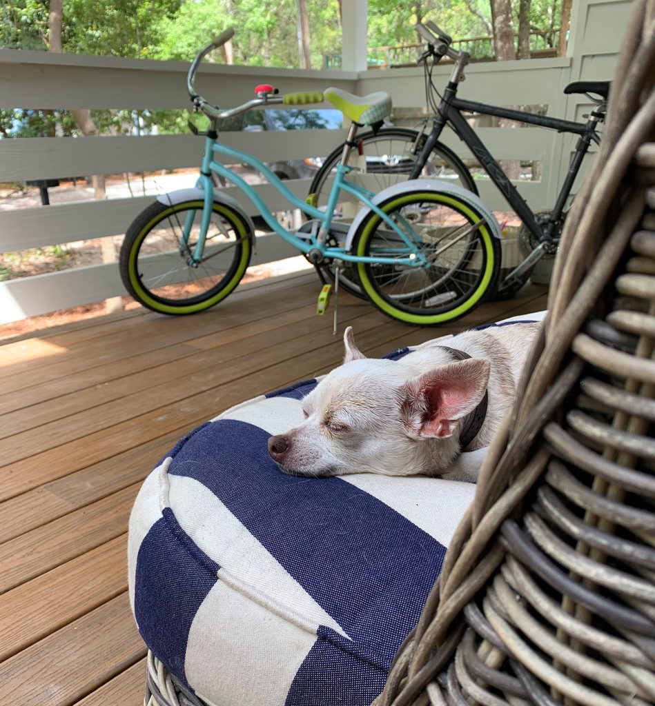 Florida House Exterior After Burger On Cushion