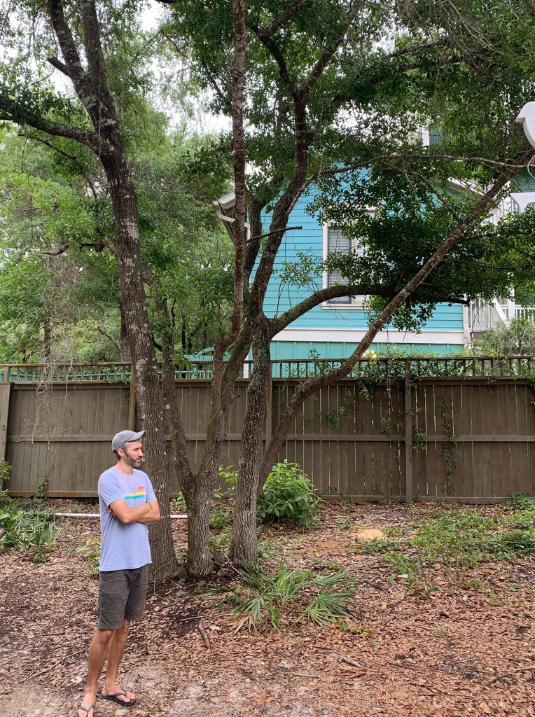 Florida House Exterior After John By Backyard Tree 1
