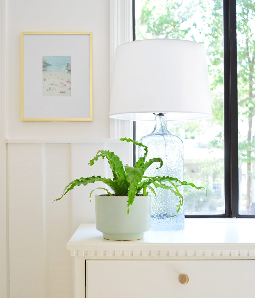 Ep176 The Sill Fern On Front Entry Table 877x1024