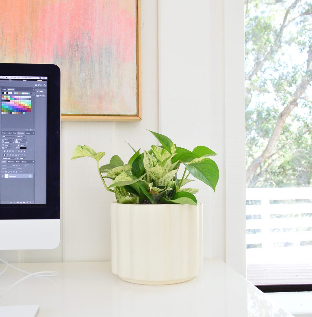 Ep176 The Sill Pothos On Computer Desk