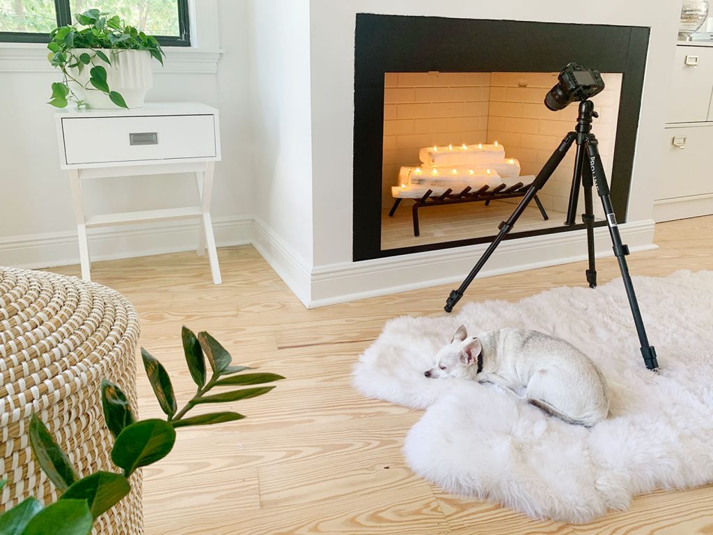 Camera on tripod set up to take photo of fireplace with chihuahua sleeping on fur rug underneath