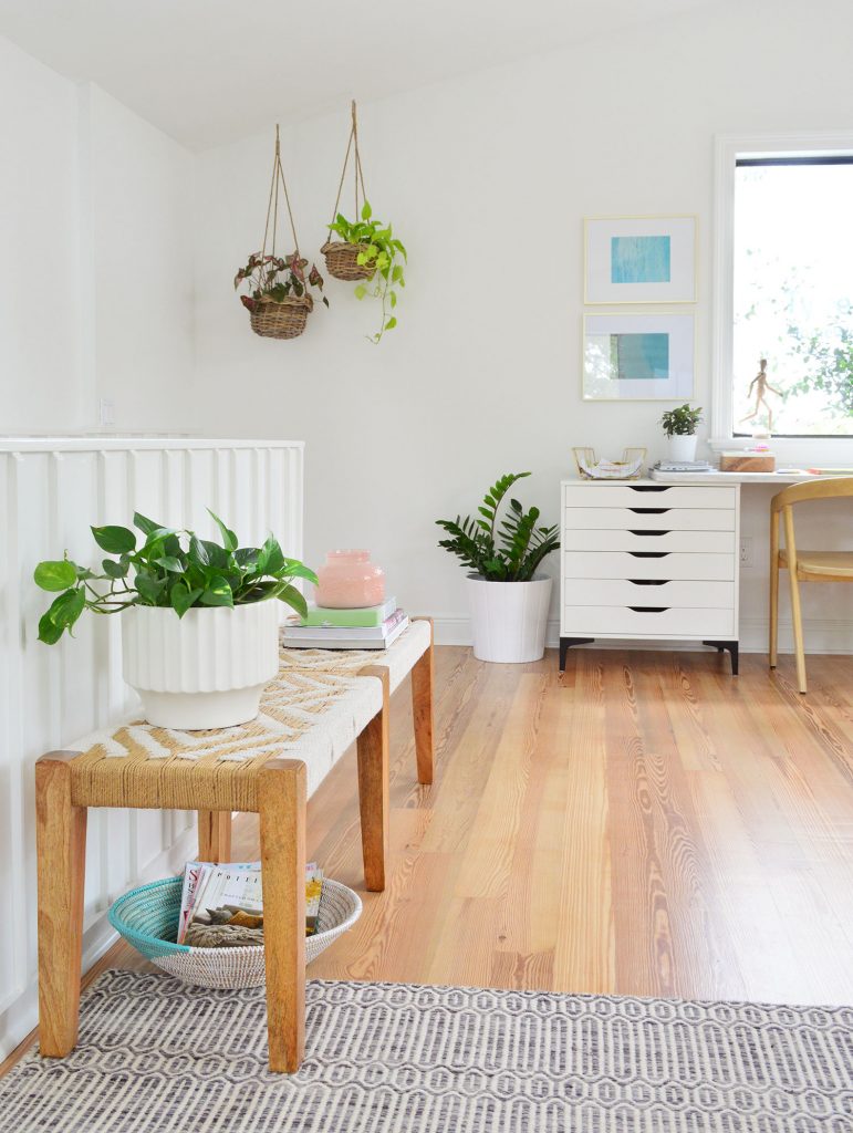 Several Plants On Surfaces In Living Room Including Hanging