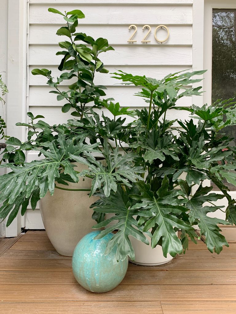 Oversized Plants In Large Planters On Front Porch