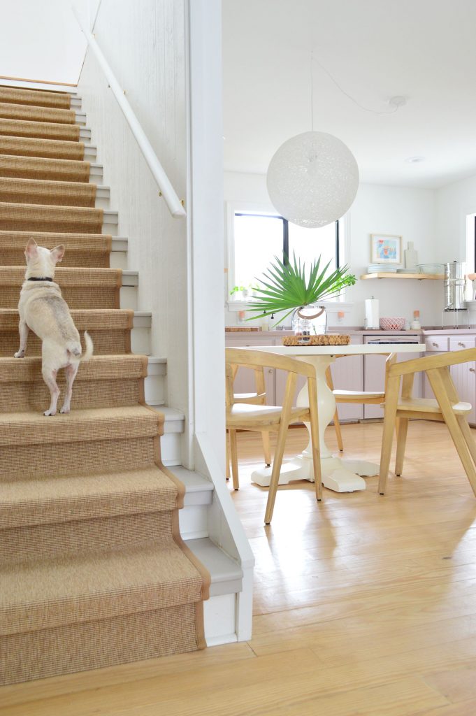 Chihuahua Walking Up Sisal Stair Runner With Kitchen In Background
