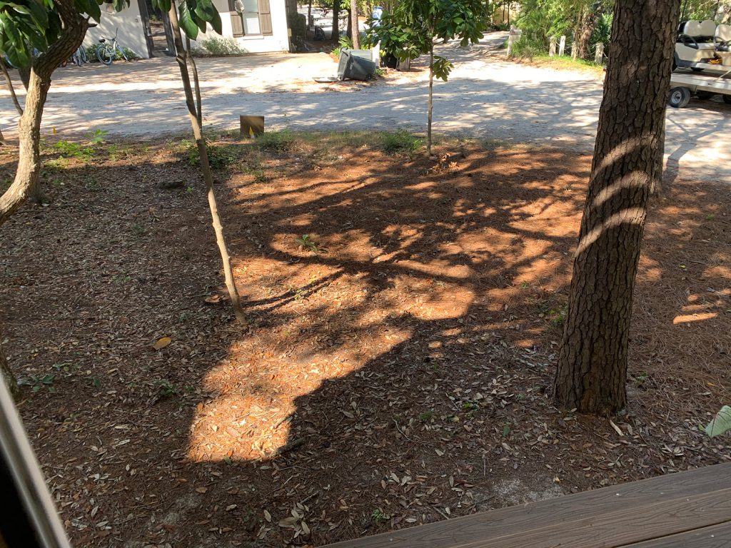 Side yard are before fence was installed