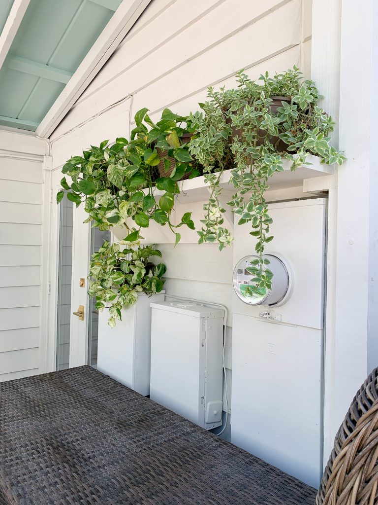 Closer View Of Plant Shelf With Foliage Covering Electrical Panel Boxes Painted White