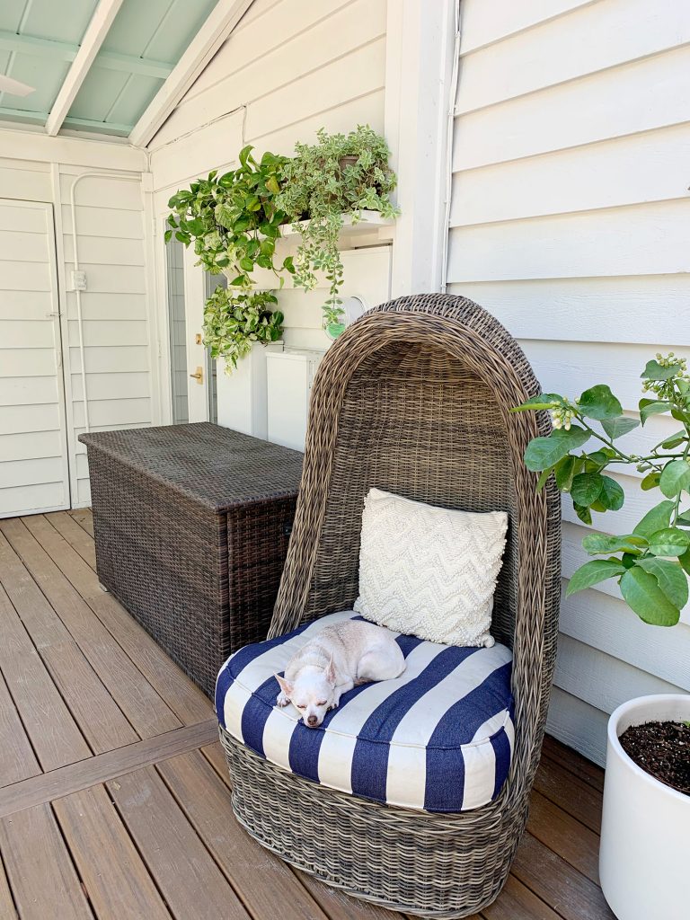 View Of Outdoor Porch With Egg Chair In Foreground And Plant Shelf In Background