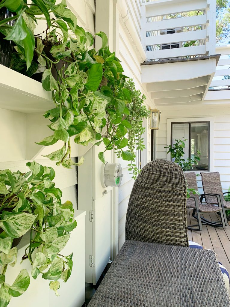 Side View Of Plant Shelf Covering Electrical Boxes