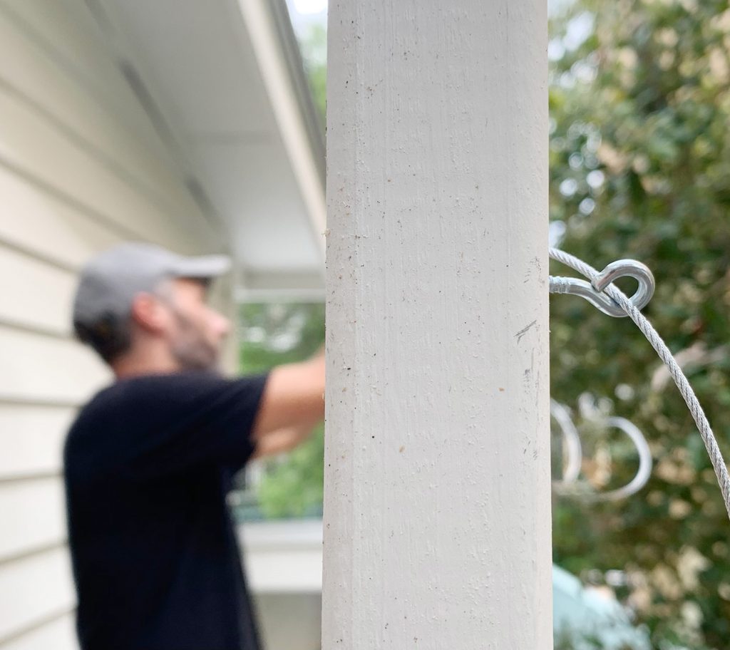 Jasmine Trellis Horizontal Building Photo