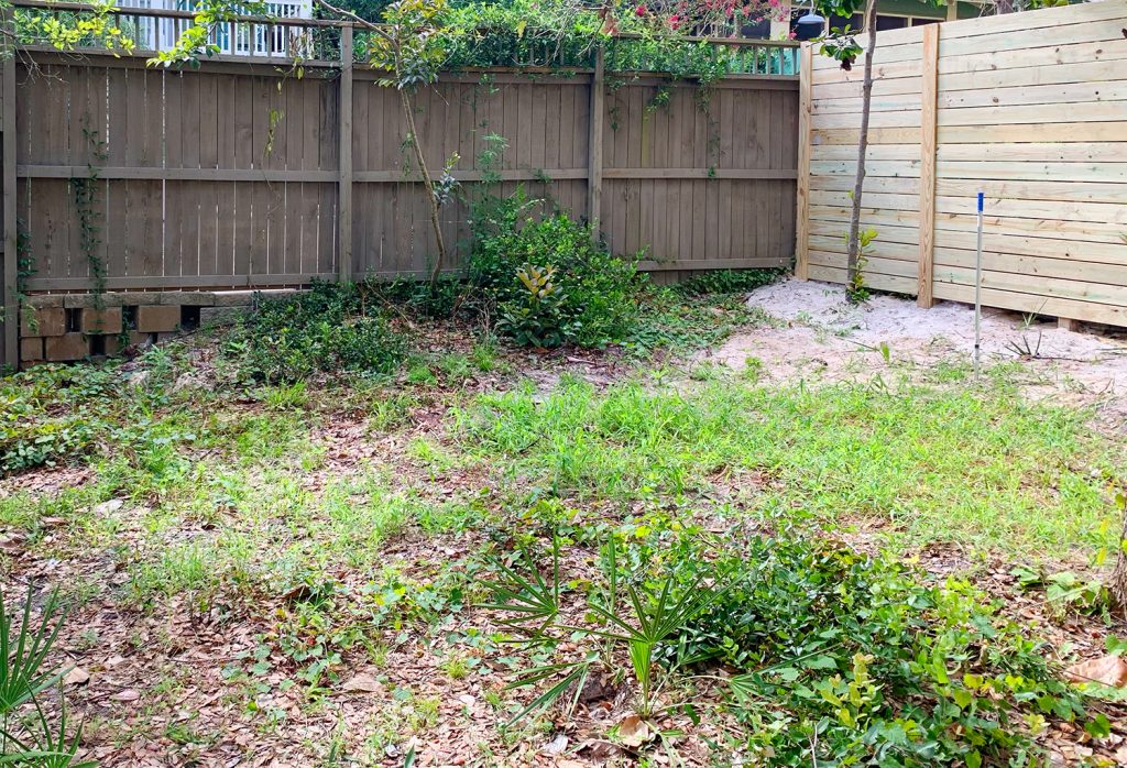 Before photo of weed covered backyard with unpainted fences