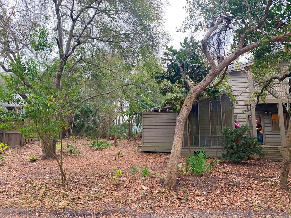 Foto anterior de casa com quintal vazio coberto de folhas mortas