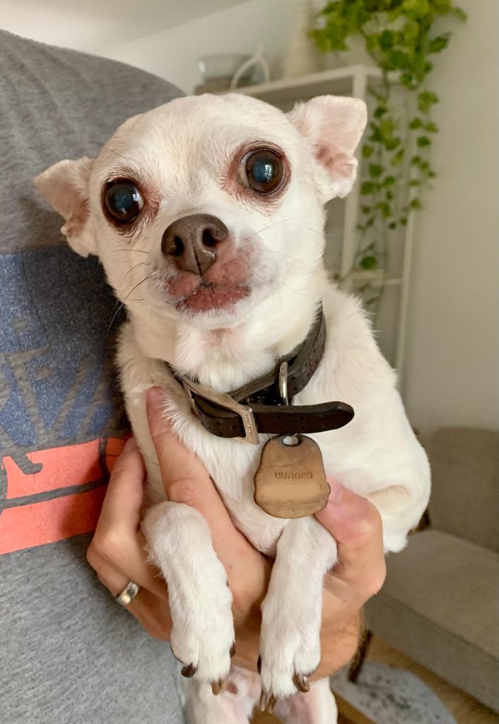 John holding Burger with submissive face and tiny paws