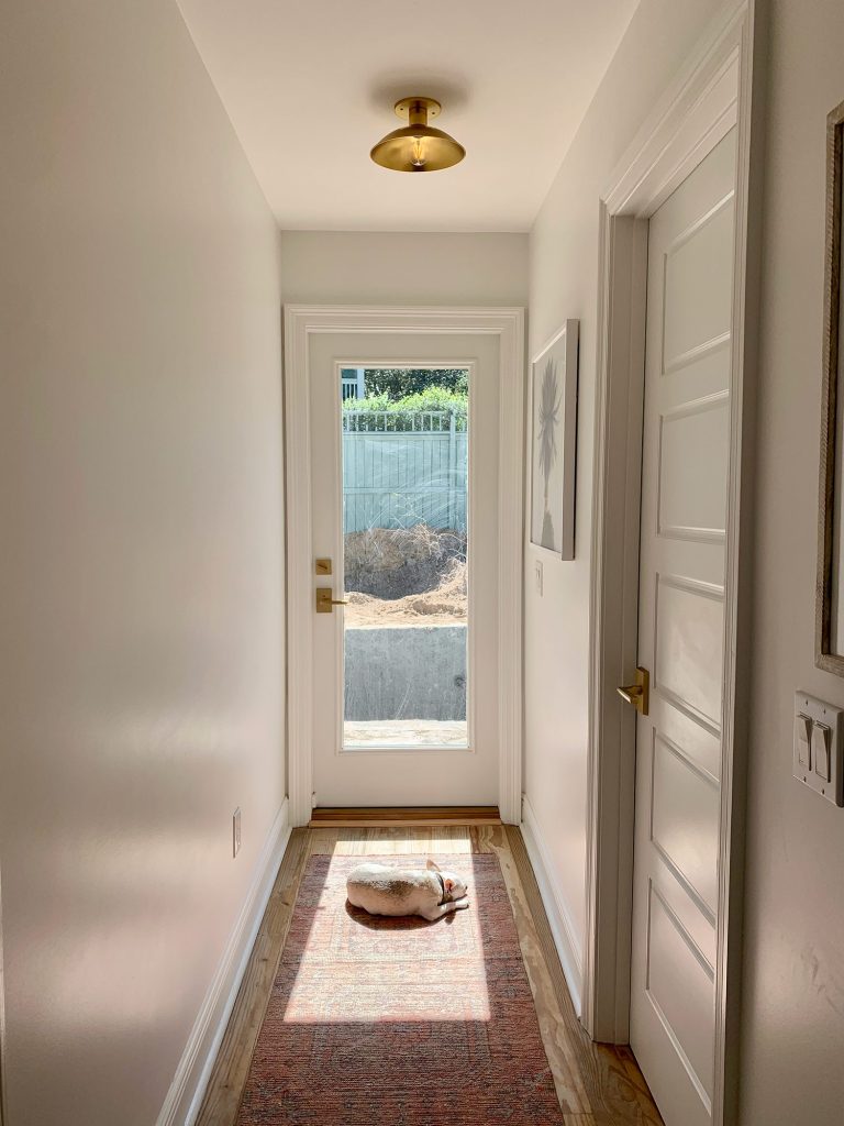 Burger sitting in sun spot near glass door