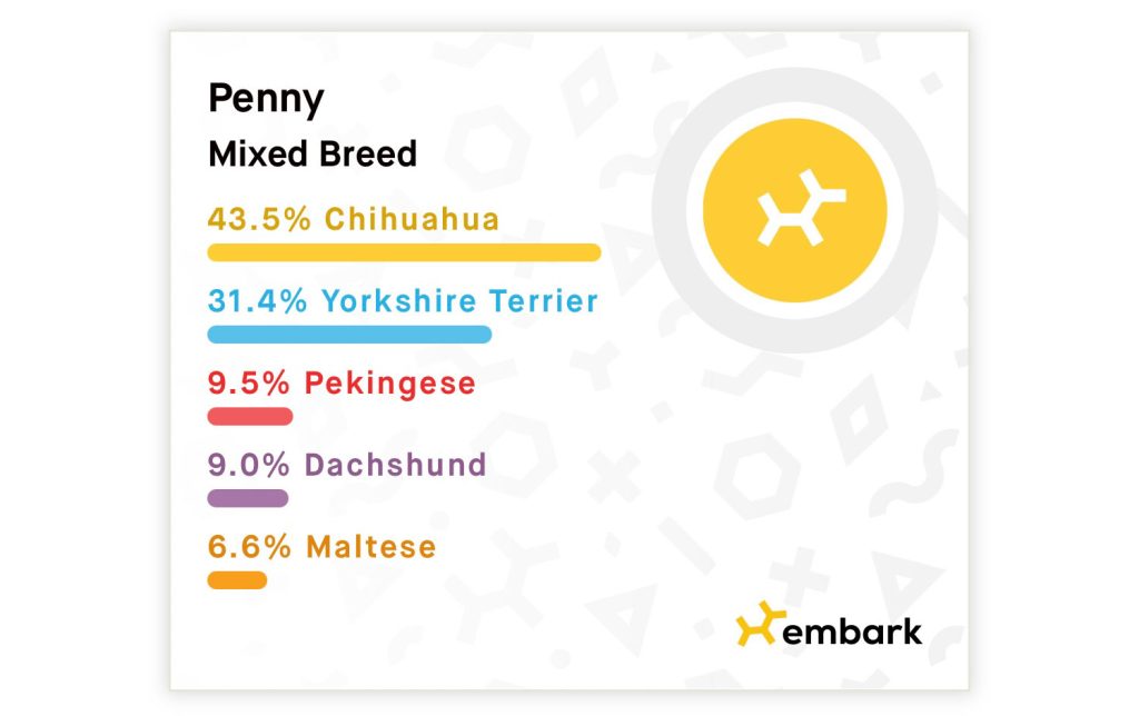 Embark Dog Breed Identification Results