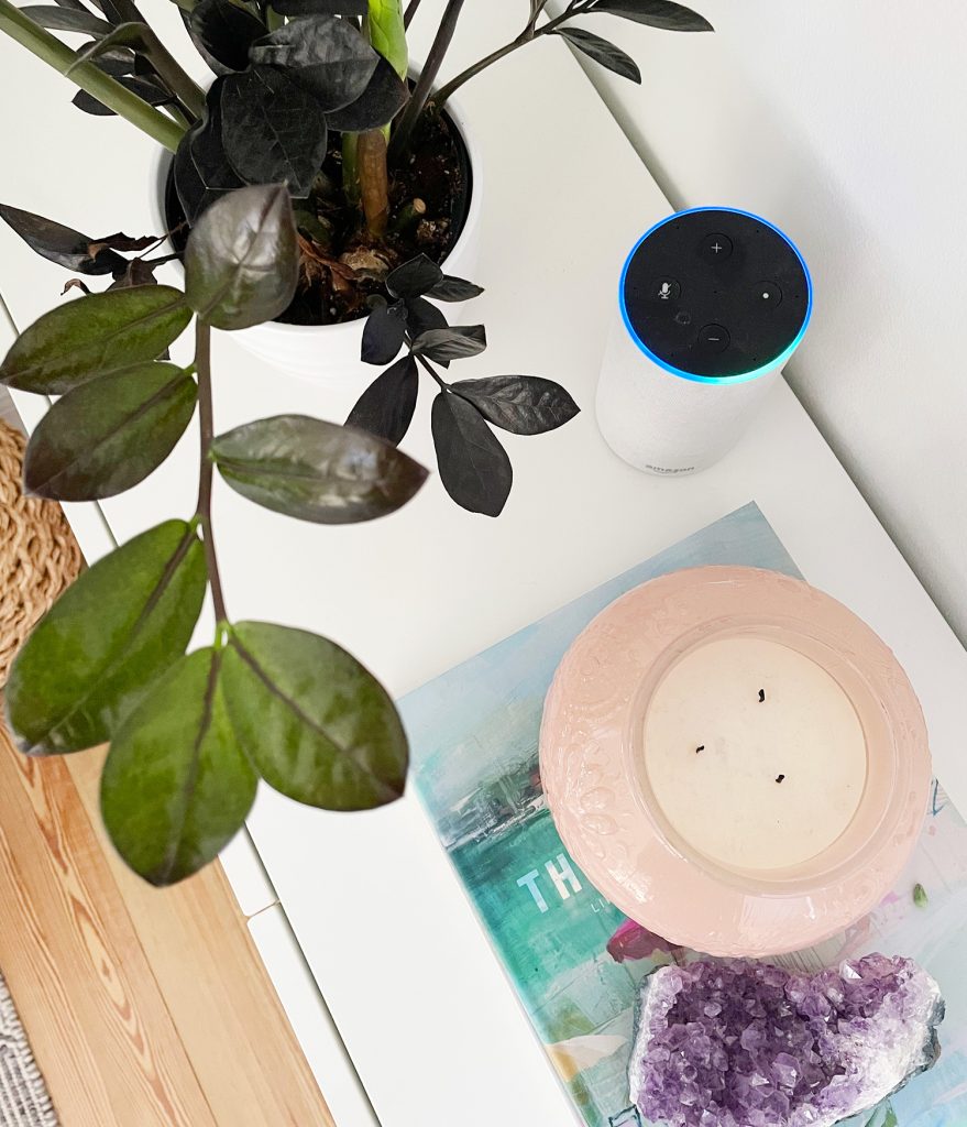 Amazon Echo Alexa Device On Table Next To Plant
