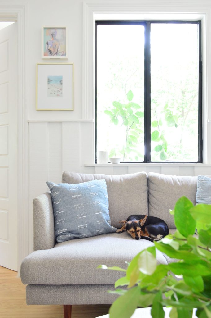 Penny The Chorkie Sleeping On Gray Loveseat In Beachy Seating Area