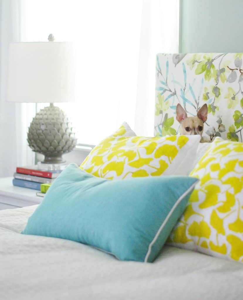 Chihuahua sitting on yellow gingko pillows against colorful upholstered DIY headboard