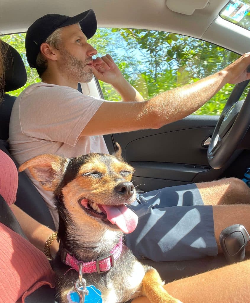John Driving In Mexico With Penny The Chorkie