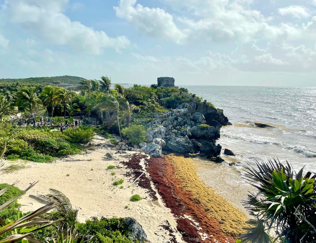 Tulum Mayan Ruins Beach With Sargassum Algae Build Up