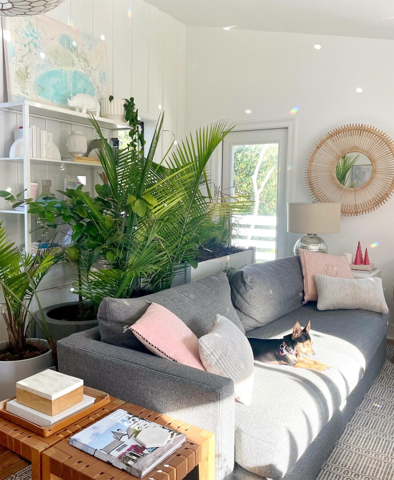 How To Protect Plants From Freezing Young House Love